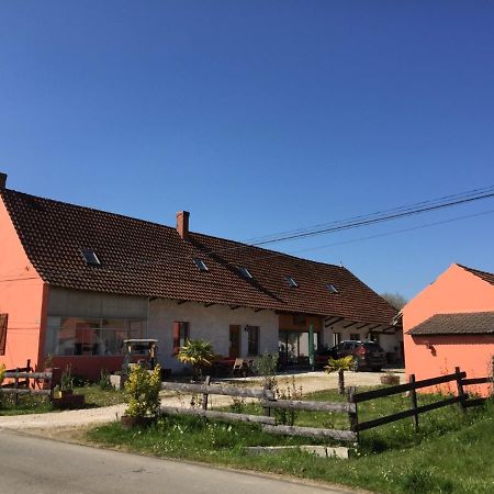Gite Chez Marcel Et Bea La Chapelle-Saint-Sauveur  Kültér fotó